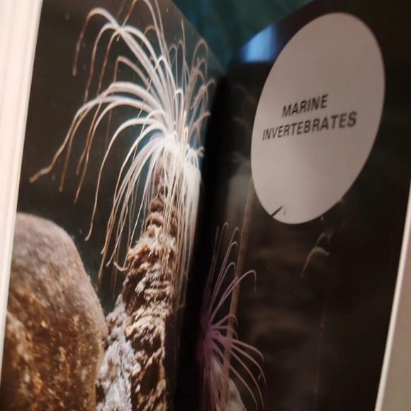 Simon + SchustersGuide To Freshwater and Marine Aquarium FishesIncluding plant - Picture 3 of 9